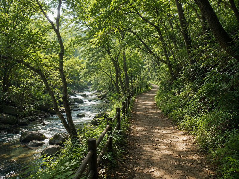 금강송숲길 1구간 출발지